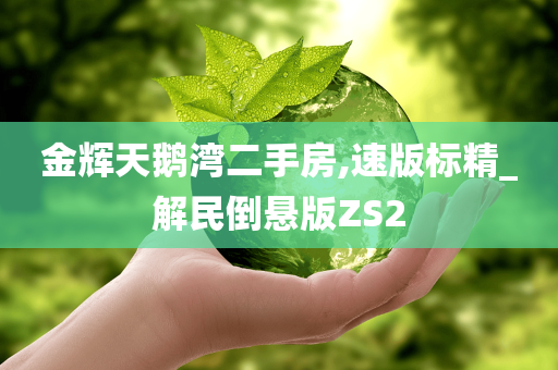 金辉天鹅湾二手房,速版标精_解民倒悬版ZS2