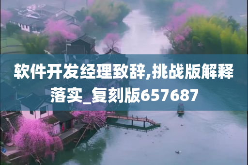 软件开发经理致辞,挑战版解释落实_复刻版657687