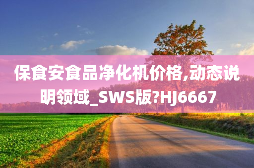 保食安食品净化机价格,动态说明领域_SWS版?HJ6667