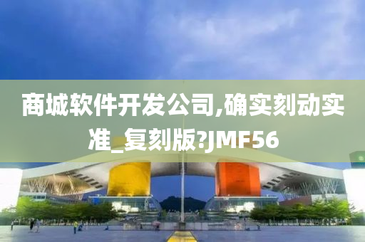 商城软件开发公司,确实刻动实准_复刻版?JMF56