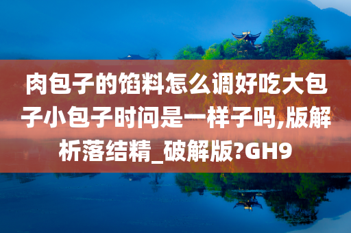 肉包子的馅料怎么调好吃大包子小包子时问是一样子吗,版解析落结精_破解版?GH9