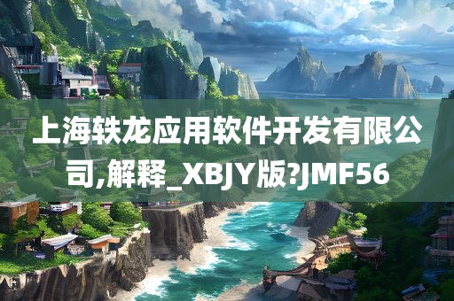 上海轶龙应用软件开发有限公司,解释_XBJY版?JMF56