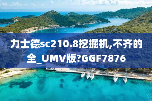 力士德sc210.8挖掘机,不齐的全_UMV版?GGF7876