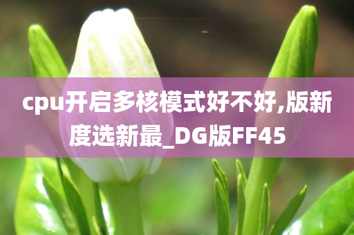 cpu开启多核模式好不好,版新度选新最_DG版FF45