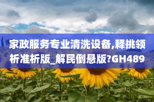 家政服务专业清洗设备,释挑领析准析版_解民倒悬版?GH489