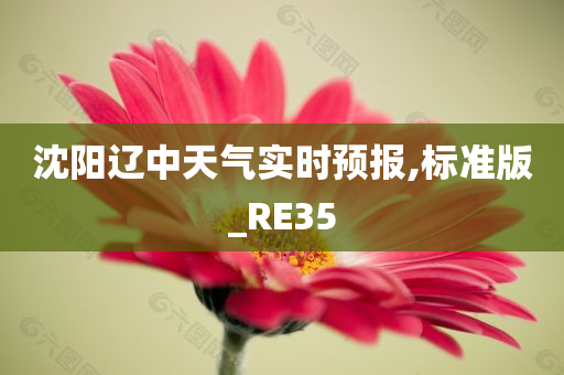 沈阳辽中天气实时预报,标准版_RE35