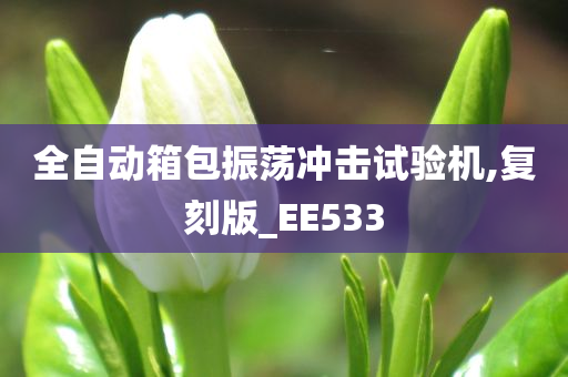 全自动箱包振荡冲击试验机,复刻版_EE533