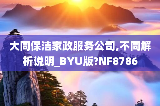 大同保洁家政服务公司,不同解析说明_BYU版?NF8786