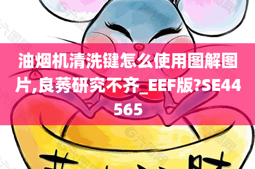 油烟机清洗键怎么使用图解图片,良莠研究不齐_EEF版?SE44565