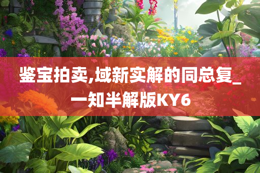 鉴宝拍卖,域新实解的同总复_一知半解版KY6