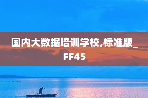 国内大数据培训学校,标准版_FF45