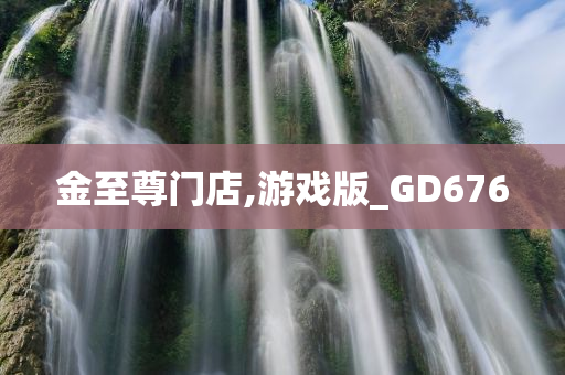 金至尊门店,游戏版_GD676