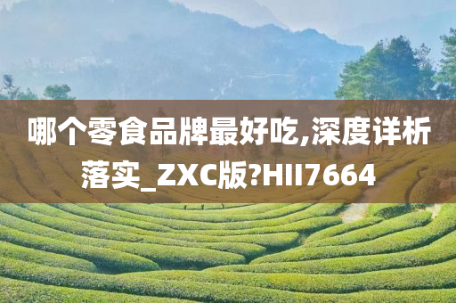 哪个零食品牌最好吃,深度详析落实_ZXC版?HII7664