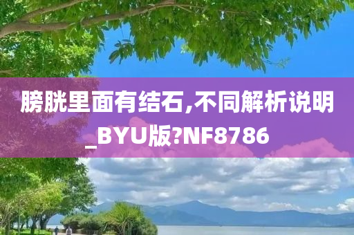 膀胱里面有结石,不同解析说明_BYU版?NF8786