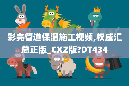 彩壳管道保温施工视频,权威汇总正版_CXZ版?DT434