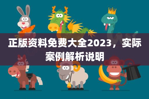 正版资料免费大全2023，实际案例解析说明