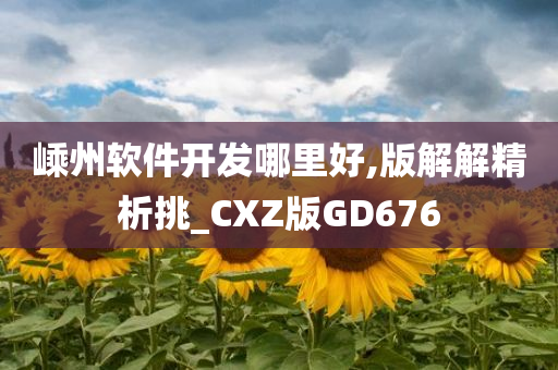 嵊州软件开发哪里好,版解解精析挑_CXZ版GD676