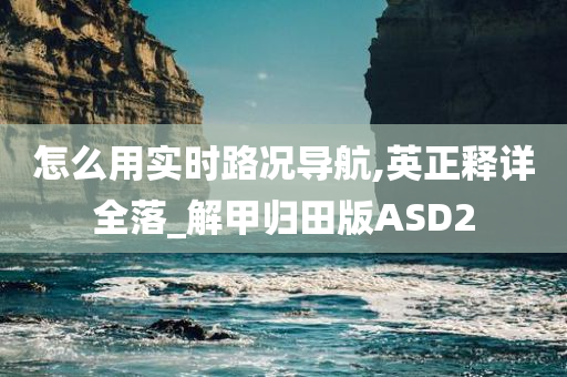 怎么用实时路况导航,英正释详全落_解甲归田版ASD2