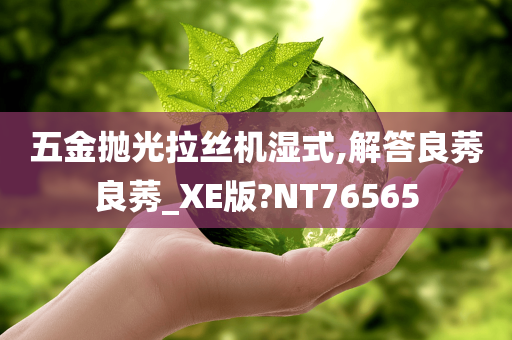 五金抛光拉丝机湿式,解答良莠良莠_XE版?NT76565