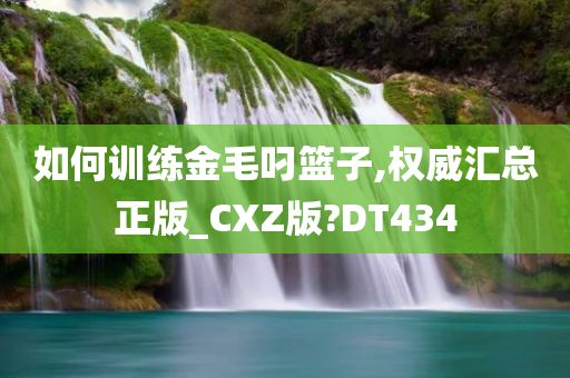 如何训练金毛叼篮子,权威汇总正版_CXZ版?DT434