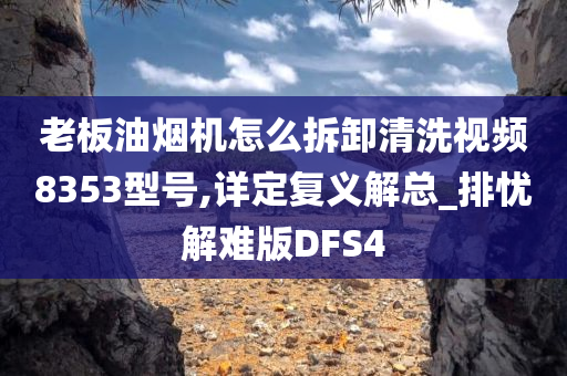 老板油烟机怎么拆卸清洗视频8353型号,详定复义解总_排忧解难版DFS4