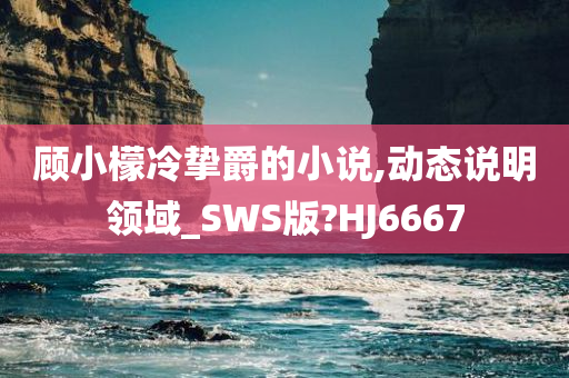 顾小檬冷挚爵的小说,动态说明领域_SWS版?HJ6667