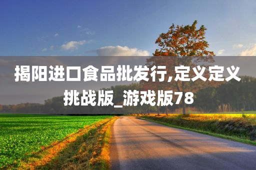 揭阳进口食品批发行,定义定义挑战版_游戏版78