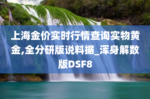 上海金价实时行情查询实物黄金,全分研版说料据_浑身解数版DSF8