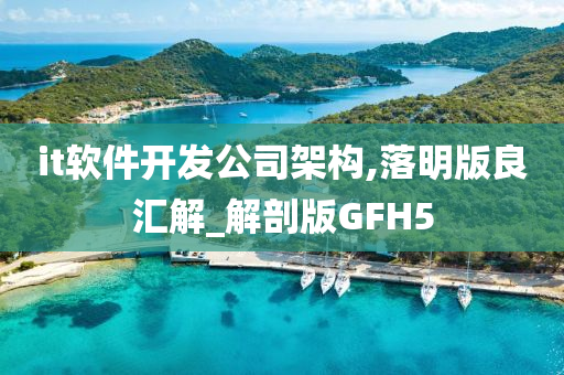 it软件开发公司架构,落明版良汇解_解剖版GFH5