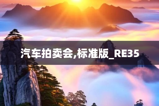 汽车拍卖会,标准版_RE35