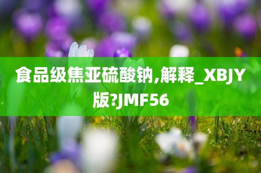 食品级焦亚硫酸钠,解释_XBJY版?JMF56