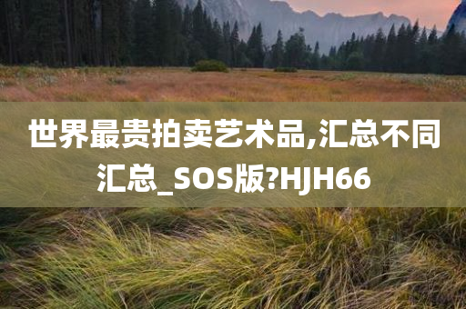 世界最贵拍卖艺术品,汇总不同汇总_SOS版?HJH66