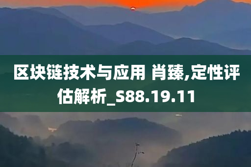 区块链技术与应用 肖臻,定性评估解析_S88.19.11