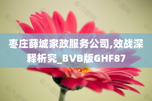 枣庄薛城家政服务公司,效战深释析究_BVB版GHF87