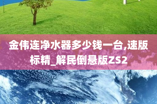 金伟连净水器多少钱一台,速版标精_解民倒悬版ZS2