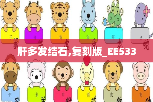 肝多发结石,复刻版_EE533