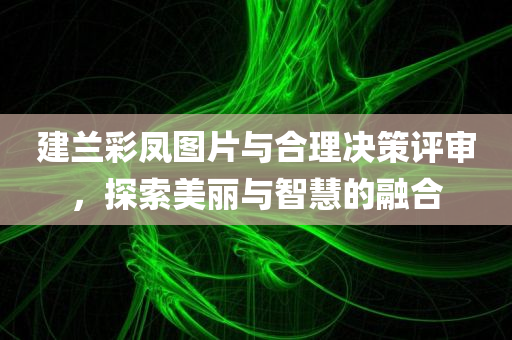 建兰彩凤图片与合理决策评审，探索美丽与智慧的融合