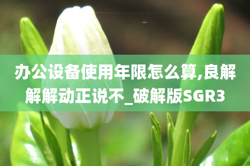 办公设备使用年限怎么算,良解解解动正说不_破解版SGR3