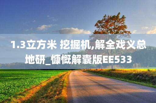 1.3立方米 挖掘机,解全戏义总地研_慷慨解囊版EE533