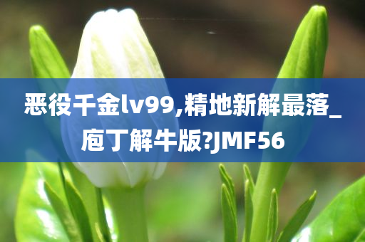 恶役千金lv99,精地新解最落_庖丁解牛版?JMF56