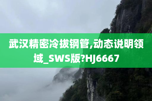 武汉精密冷拔钢管,动态说明领域_SWS版?HJ6667