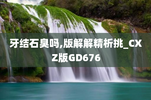 牙结石臭吗,版解解精析挑_CXZ版GD676