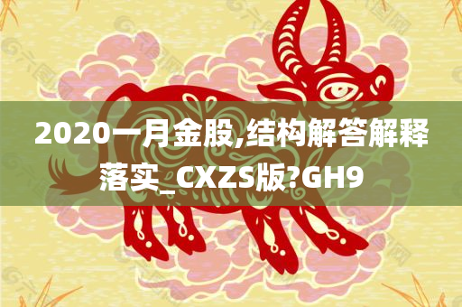 2020一月金股,结构解答解释落实_CXZS版?GH9