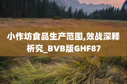 小作坊食品生产范围,效战深释析究_BVB版GHF87