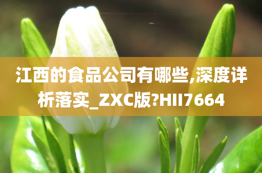 江西的食品公司有哪些,深度详析落实_ZXC版?HII7664