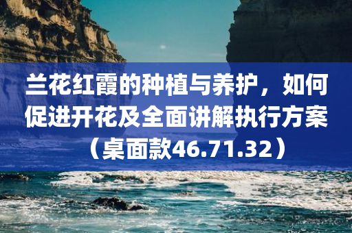 兰花红霞的种植与养护，如何促进开花及全面讲解执行方案（桌面款46.71.32）