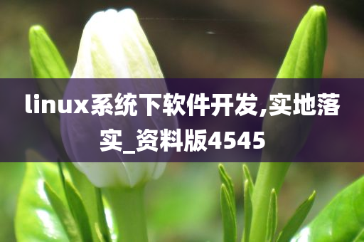 linux系统下软件开发,实地落实_资料版4545