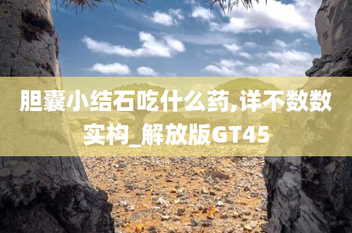 胆囊小结石吃什么药,详不数数实构_解放版GT45