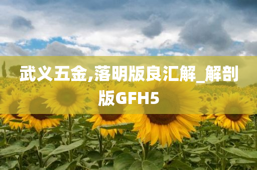 武义五金,落明版良汇解_解剖版GFH5