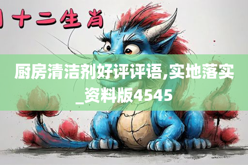 厨房清洁剂好评评语,实地落实_资料版4545